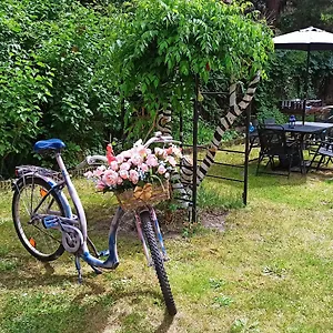 Auberge de jeunesse Retro